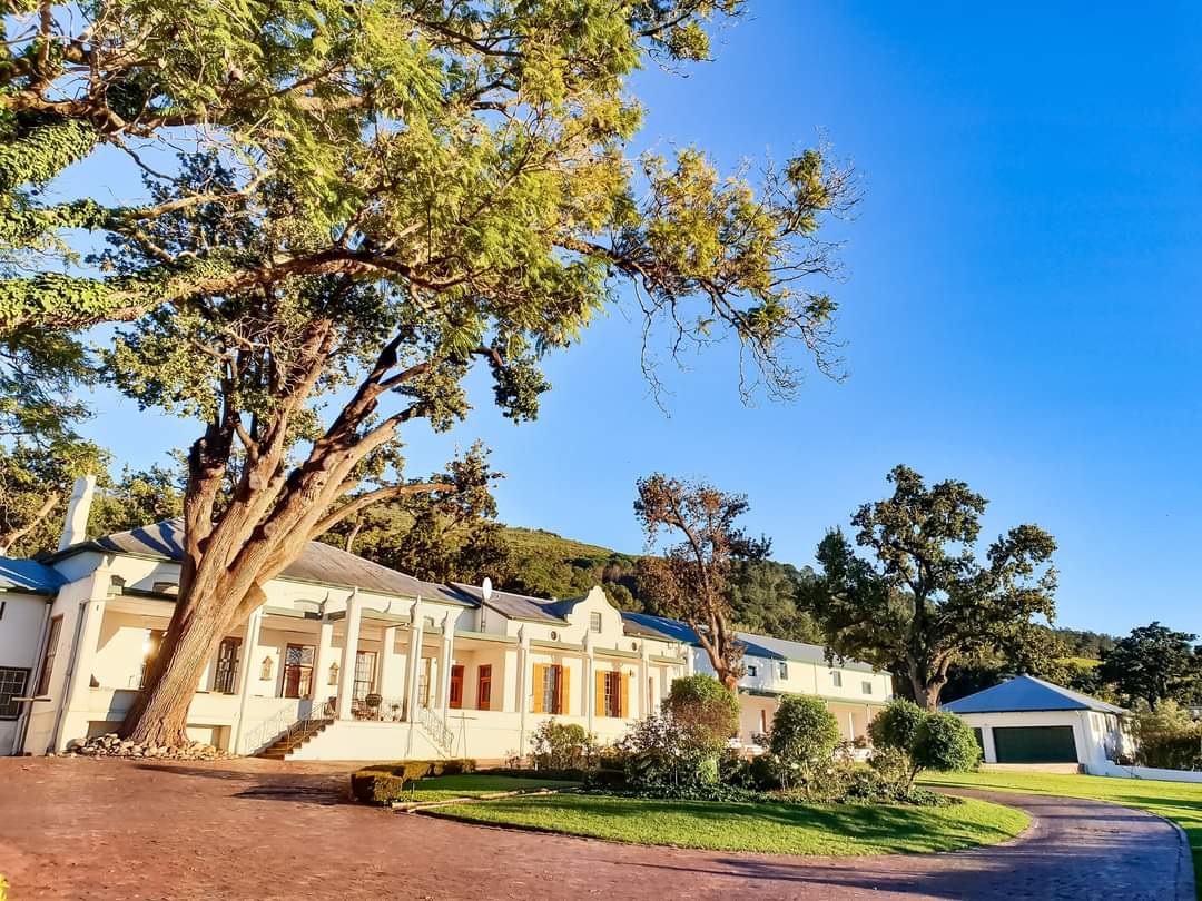 d’Olyfboom Family Estate